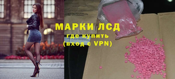 индика Горняк