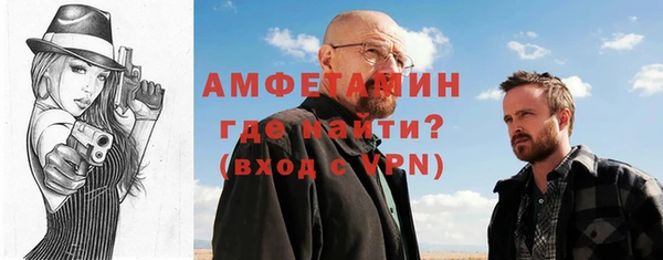 индика Горняк