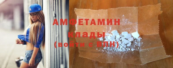 индика Горняк