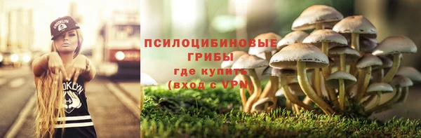 трава Горнозаводск