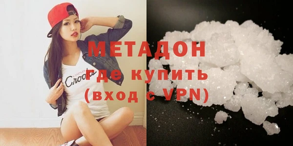 индика Горняк