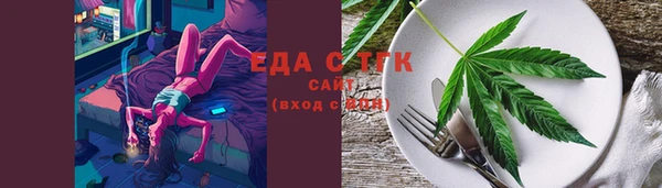 индика Горняк
