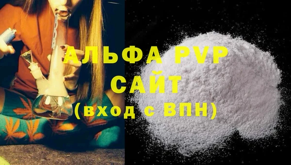 индика Горняк