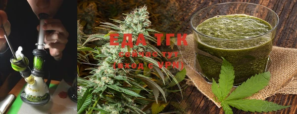 индика Горняк
