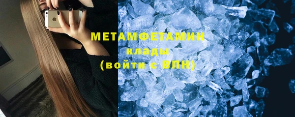 индика Горняк