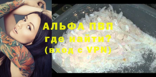 индика Горняк