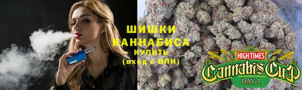 индика Горняк