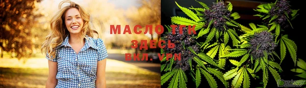 индика Горняк