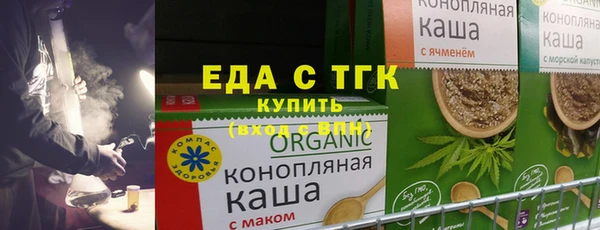 индика Горняк
